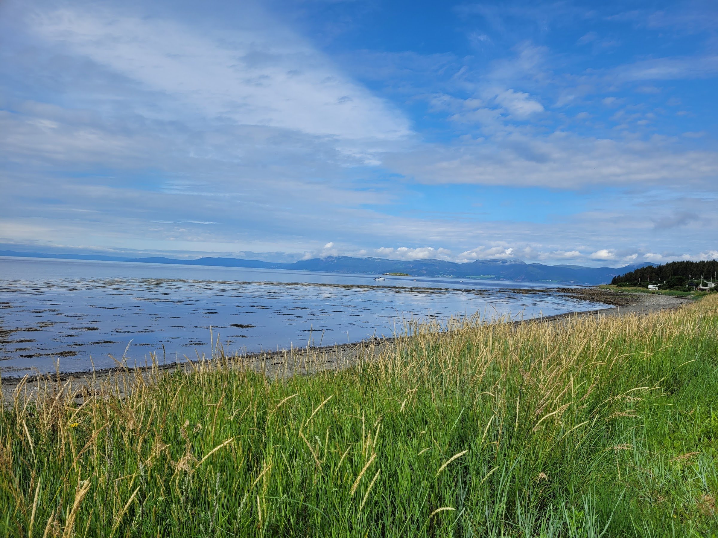 Hauganfjæra Camping AS